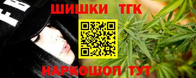 амф Можга