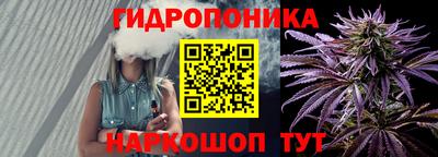амф Можга