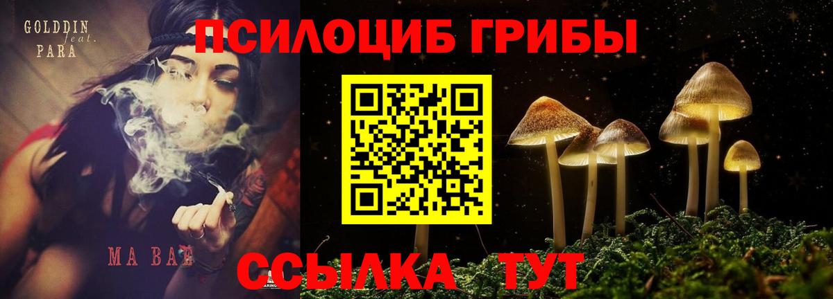 где можно купить наркотик  Вход с VPN  Галлюциногенные грибы прущие грибы  Златоуст  Галлюциногенные грибы мицелий 